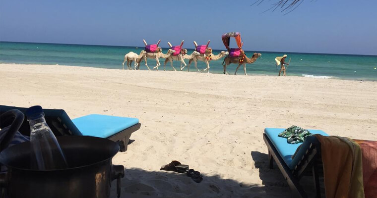 Djerba Orient